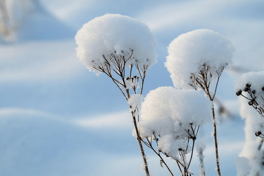 vastag hotakaro kertnek 05