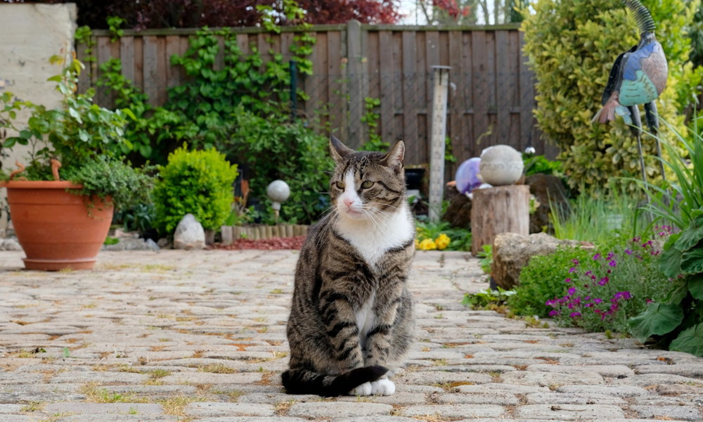 Kerti tervek papíron – mikor hasznos, mikor felesleges?