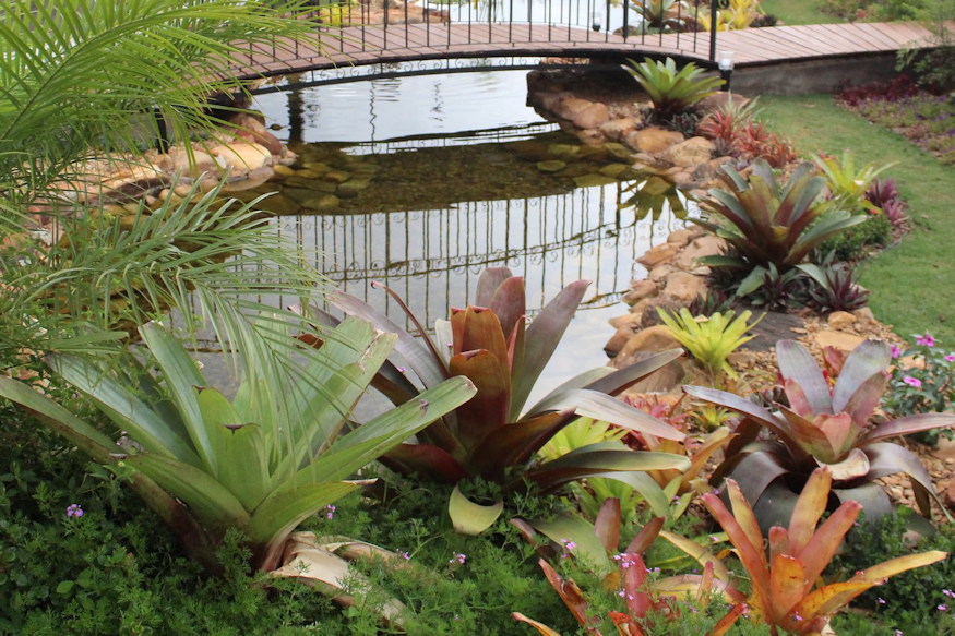 kerti tervek papiron 05