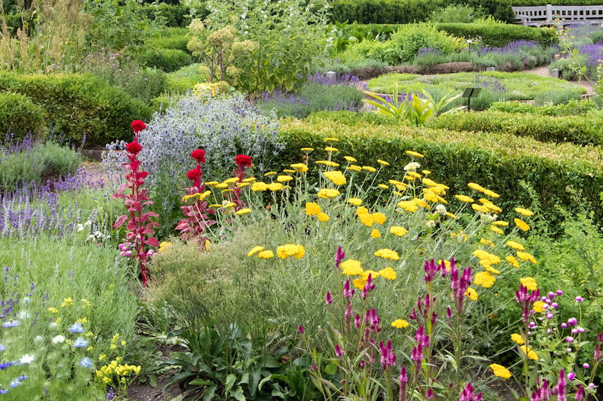 kerti tervek papiron 07