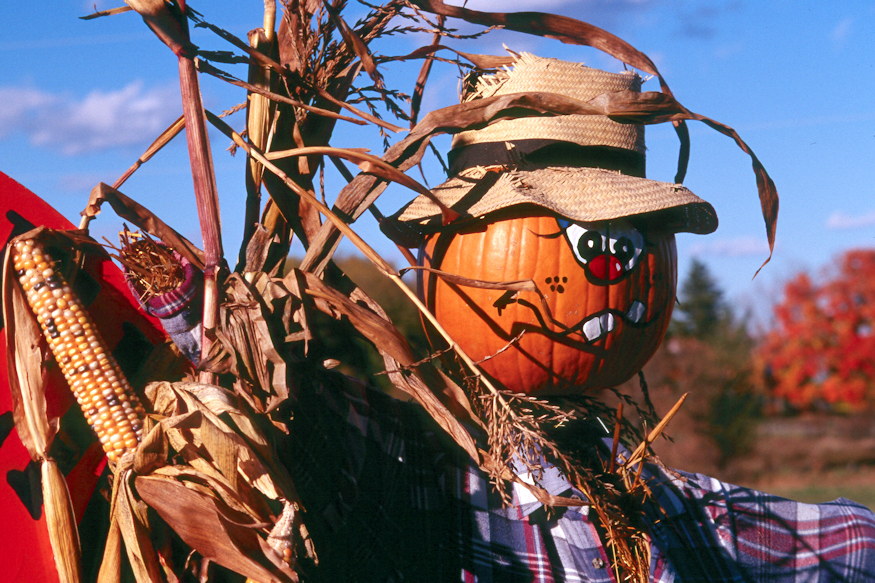 madarijeszto nem ijeszt 05