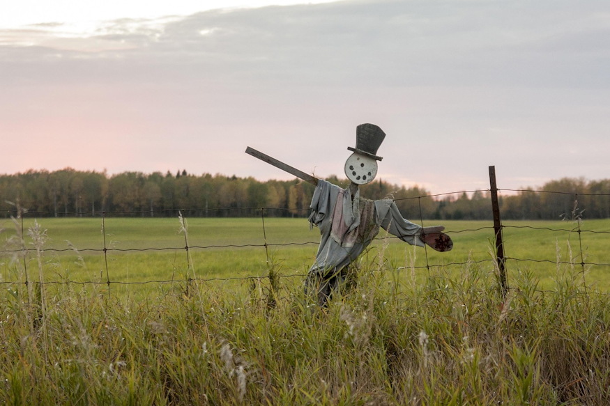 madarijeszto nem ijeszt 06