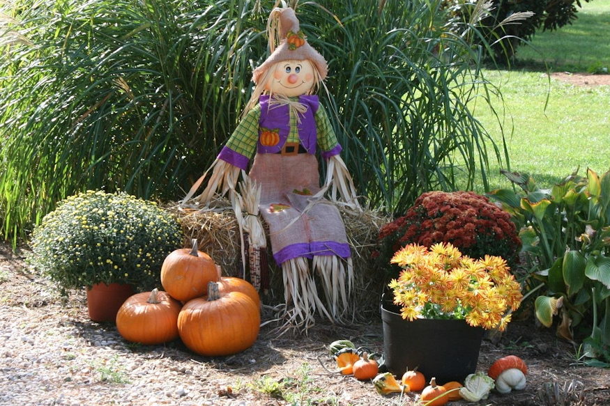 madarijeszto nem ijeszt 07