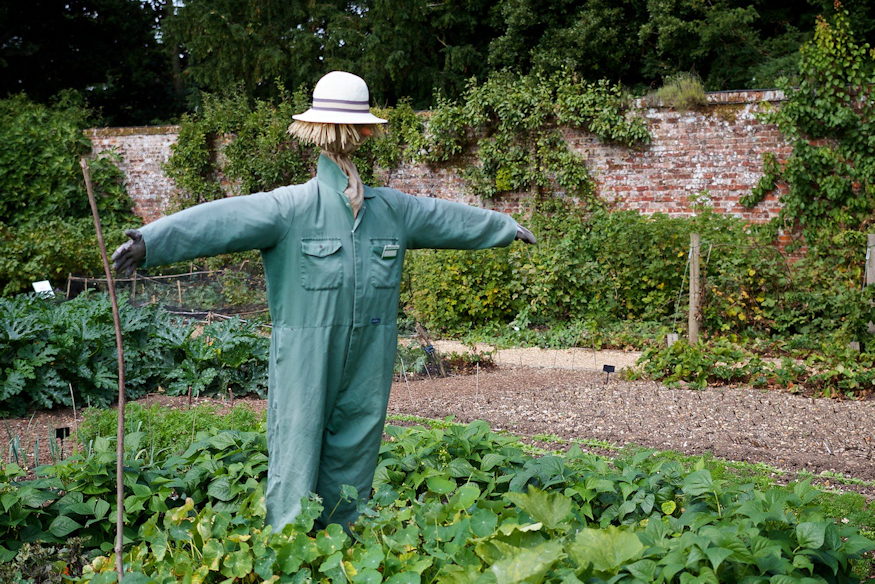 madarijeszto nem ijeszt 08