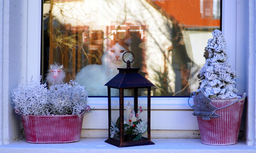 Mit hagyjunk magunk mögött a kertben az óévvel együtt?