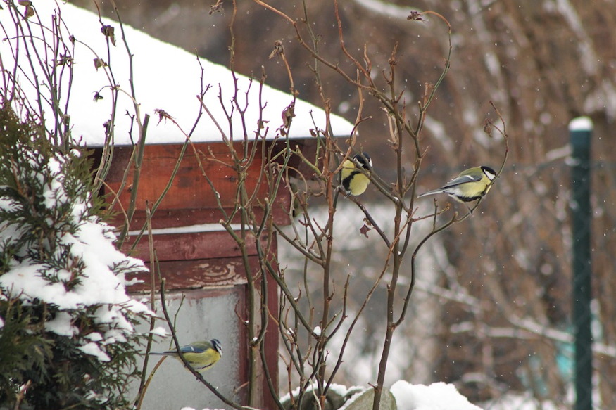 mit hagyjunk magunk mogott 04