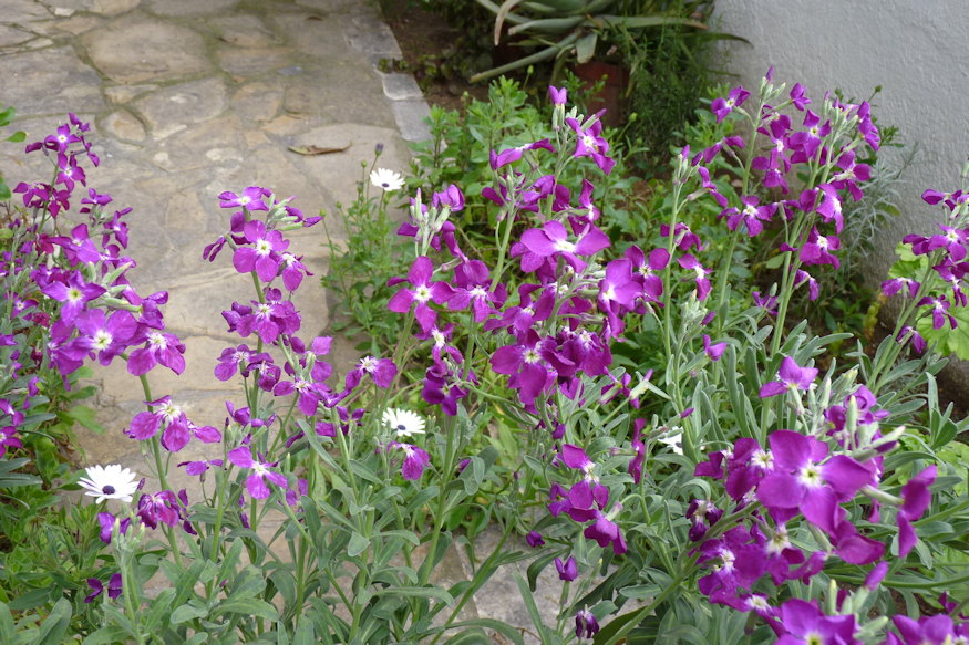 amikor egy illat hazavisz 03