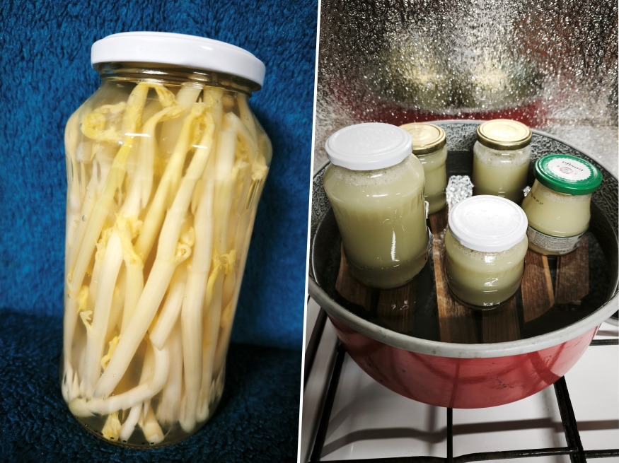 fermentalt savanyitott chayote 05