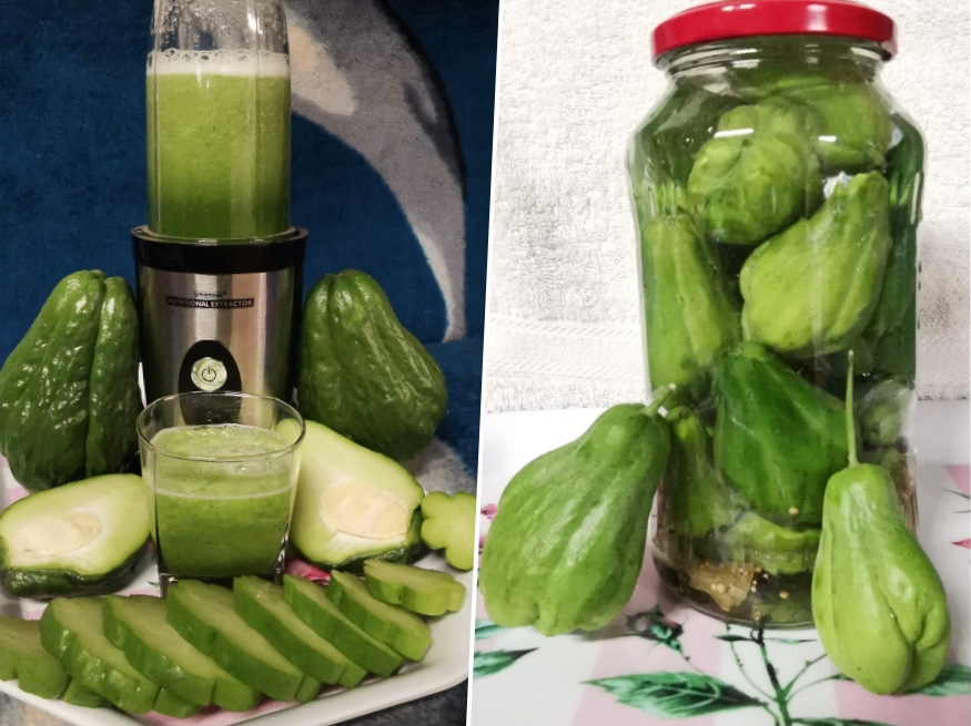 fermentalt savanyitott chayote 06