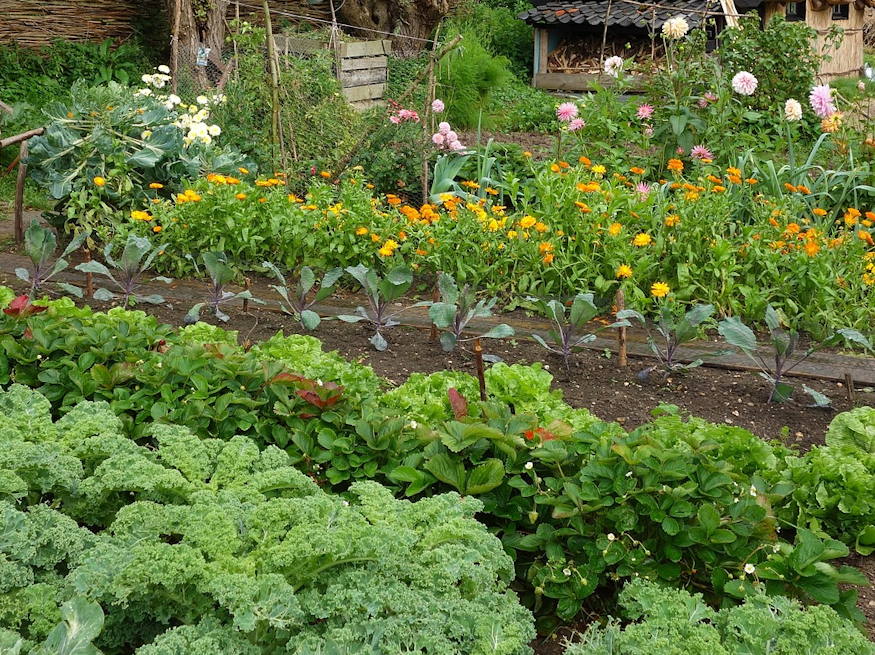 mi nott nagyszulok kertjeben 03