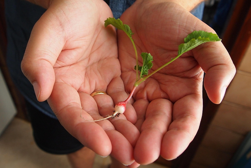 nem lehet elrontani megis 04