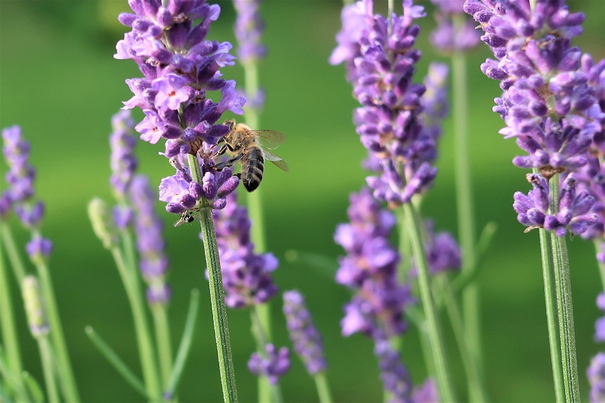 nem lehet elrontani megis 05