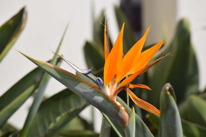 nem lehet elrontani megis 06