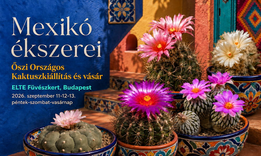 Mexikó ékszerei Budapesten: a kaktuszvilág álcázó- és túlélőművészei az ELTE Füvészkertben 2026. szeptember 11–13. között