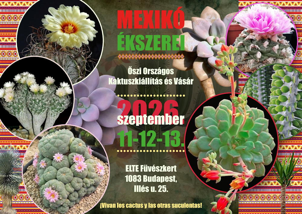 kaktuszkiallitas fuveszkert 2026 osz 08