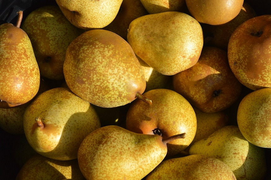 miert lesz kovecses korte 02