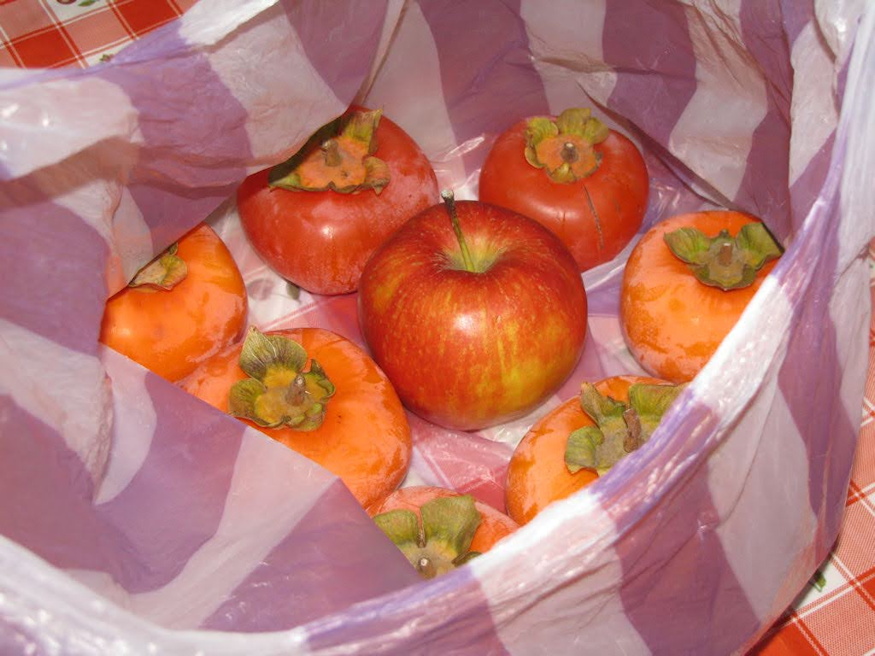 mikor a legfinomabb datolyaszilva 02