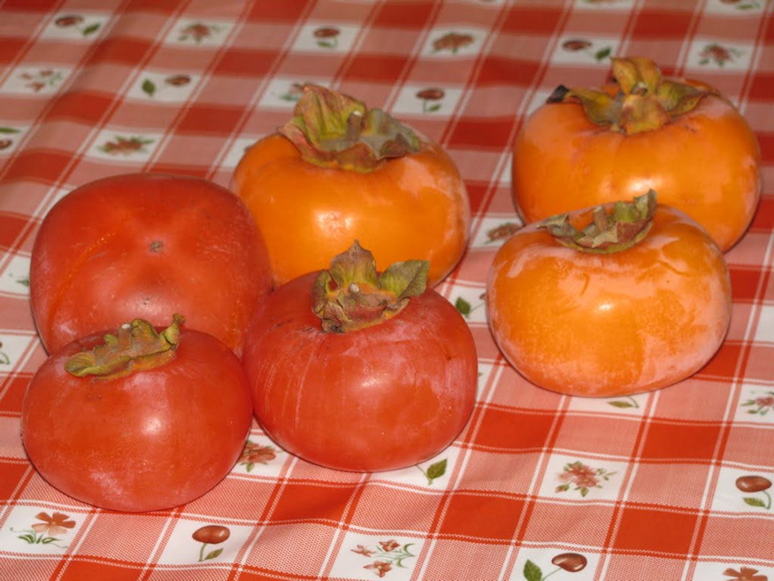 mikor a legfinomabb datolyaszilva 04