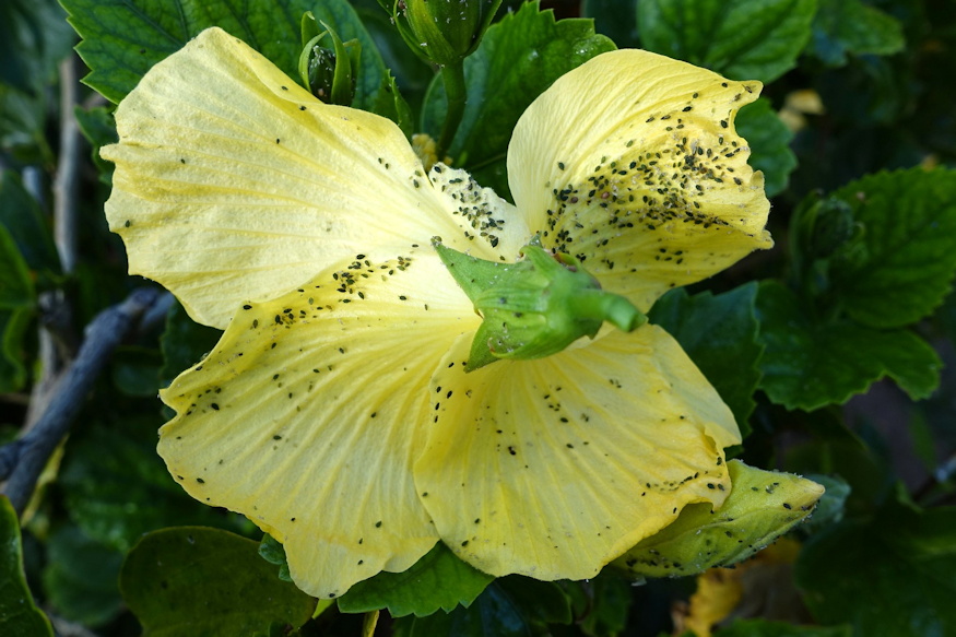 leveltetu is osszezavarhato 05