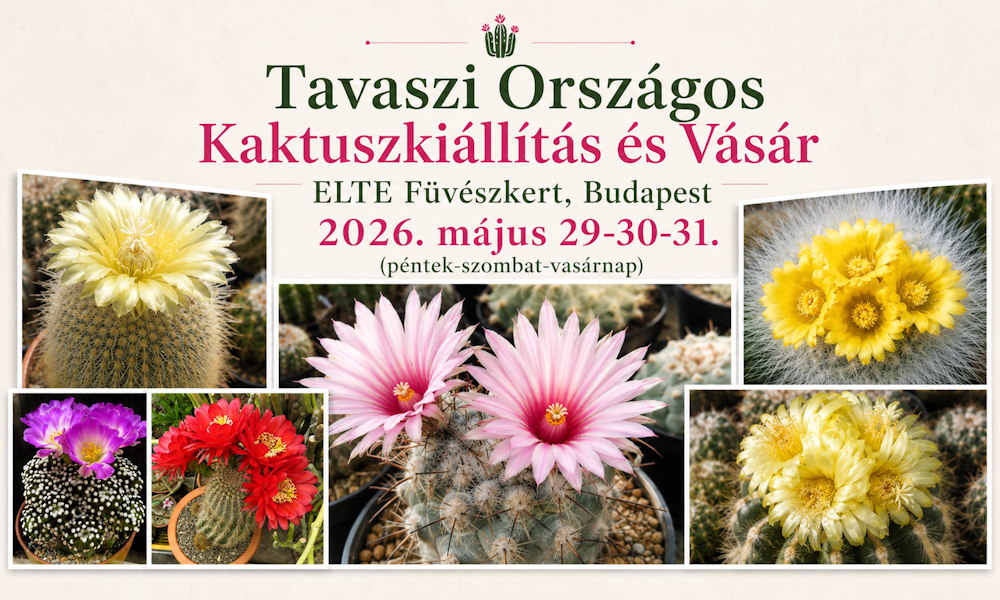 Tüskés szépségek a Füvészkertben: Tavaszi Országos Kaktuszkiállítás és Vásár 2026. május 29–31. között