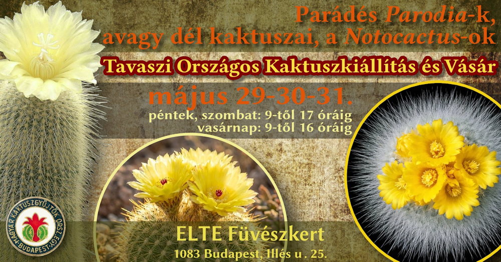 kaktuszkiallitas fuveszkert 2026 majus 05