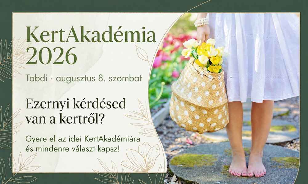 KertAkadémia Tabdin, 2026. augusztus 8-án: egy nap, ami után más szemmel nézünk a kertünkre