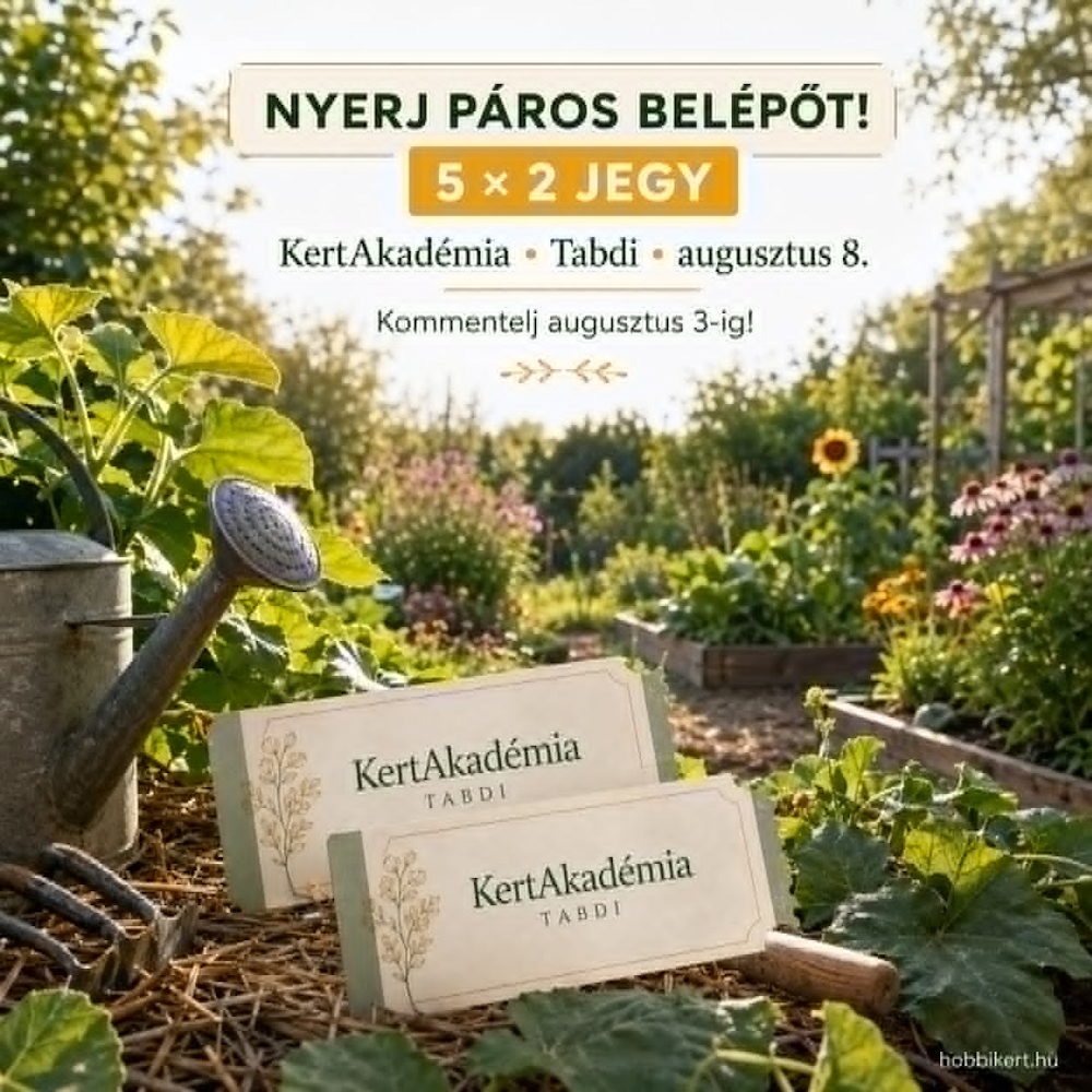 Kertakademia 2026 Tabdi 08