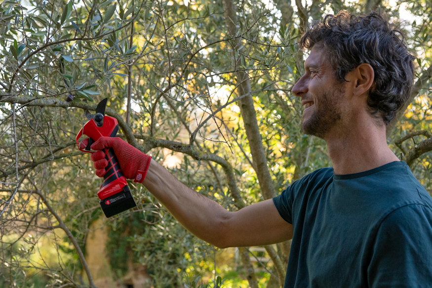 akkus ujdonsag felco 2e metszoollo 06