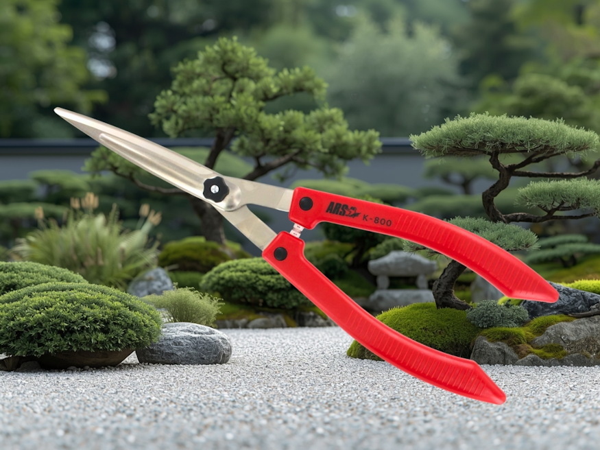 ars k800 sovenyvago ollo 04