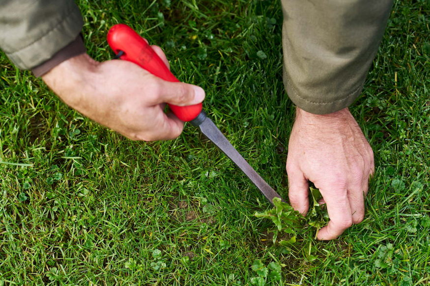 felco 442 kezi gyomkiszedo 03