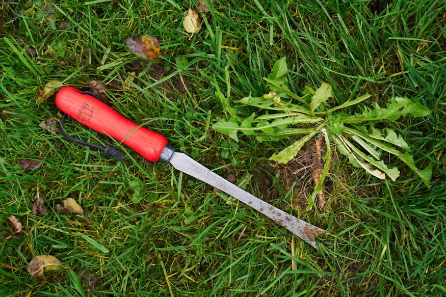 felco 442 kezi gyomkiszedo 04