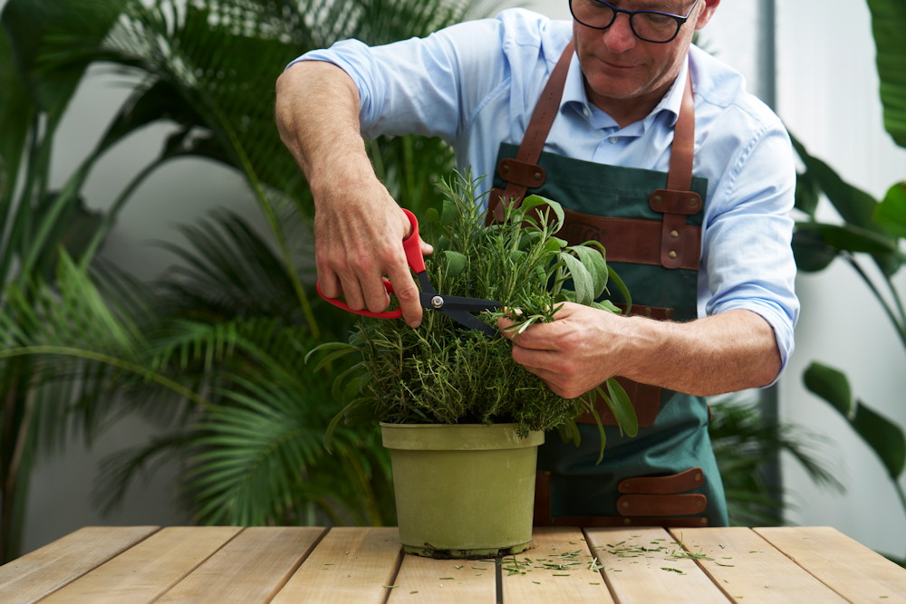 felco 455 haztartasi ollo 06