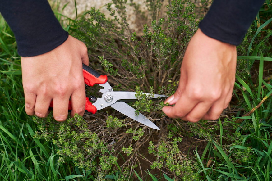 felco 456 kerti ollo mindent ezzel 03