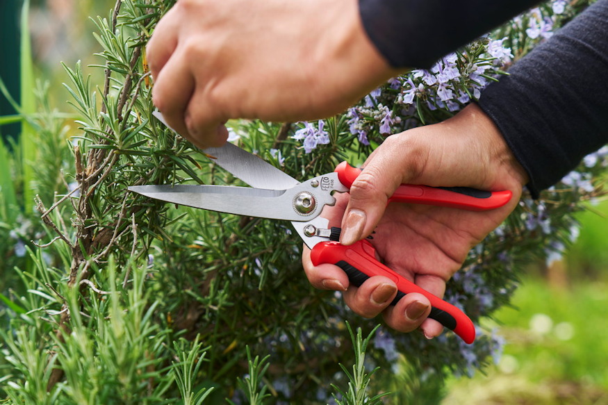 felco 456 kerti ollo mindent ezzel 04