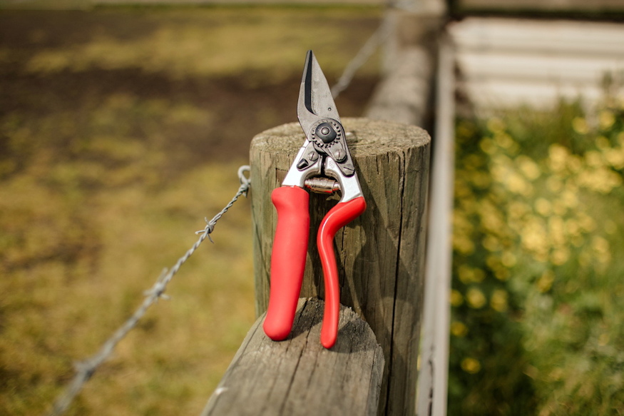 felco 50 51 pataapolo ollok 03