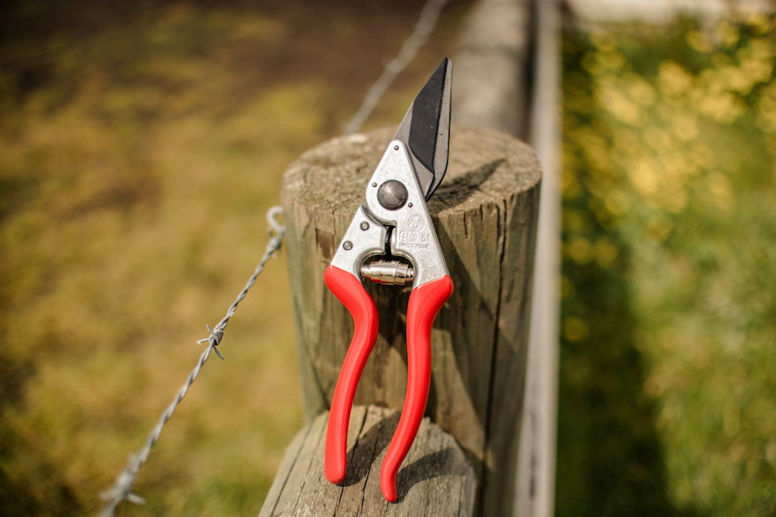 felco 50 51 pataapolo ollok 05