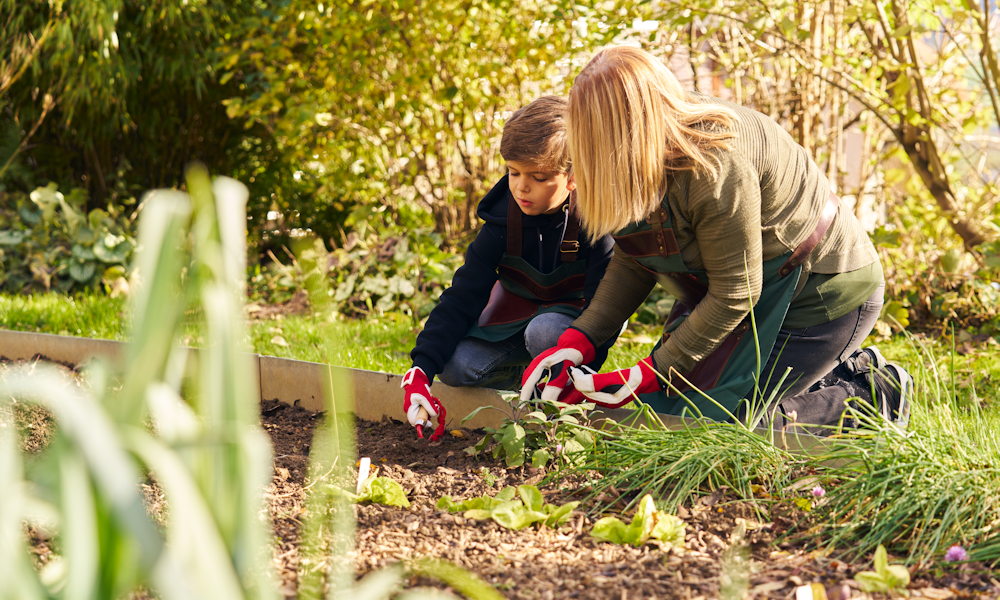 FELCO KIDS – ahol a kertészet élménnyé válik a gyerekeknek