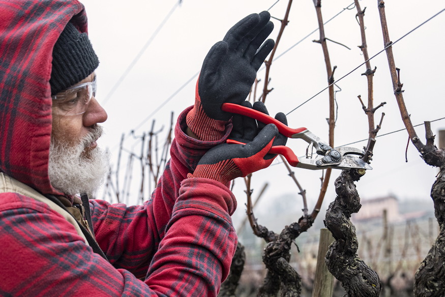 felco metszoollo tok extra csomag 04