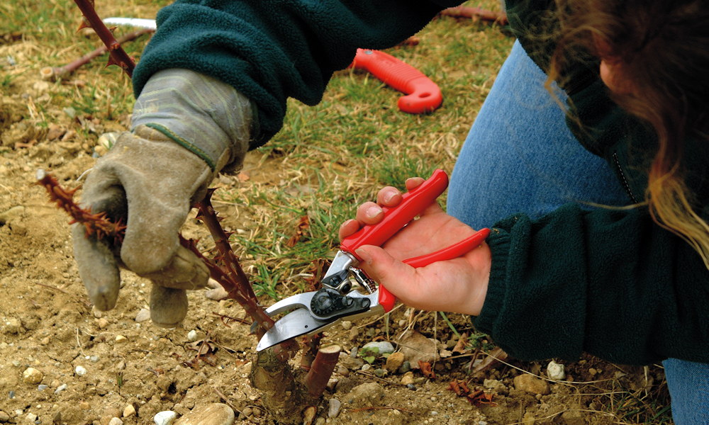 A kert az a hely, ahol a tested visszajelez