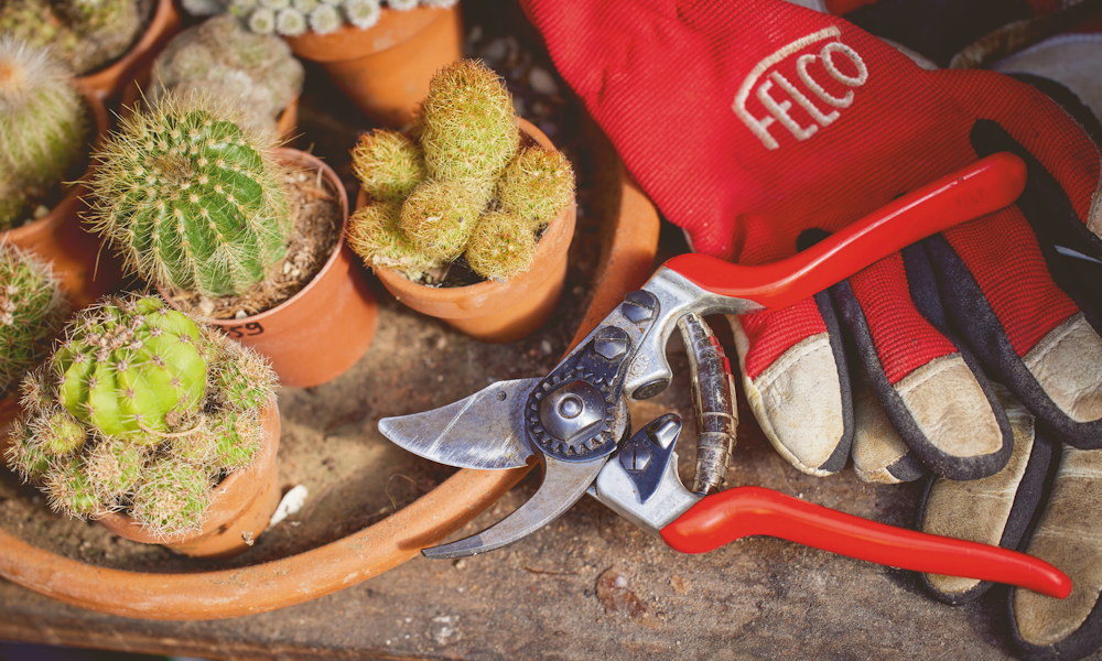 A kerti szerszámok titkos pihenőideje – mikor mit érdemes átnézni?