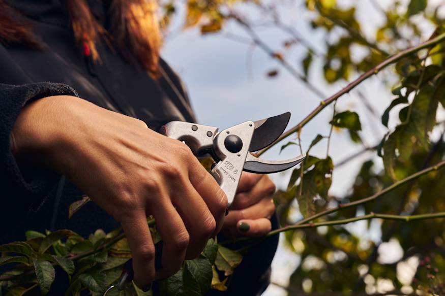 kezdo kerteszkent milyen eszkozokre 02