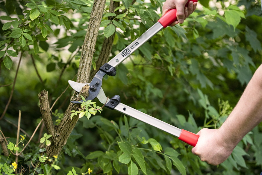 kezdo kerteszkent milyen eszkozokre 04