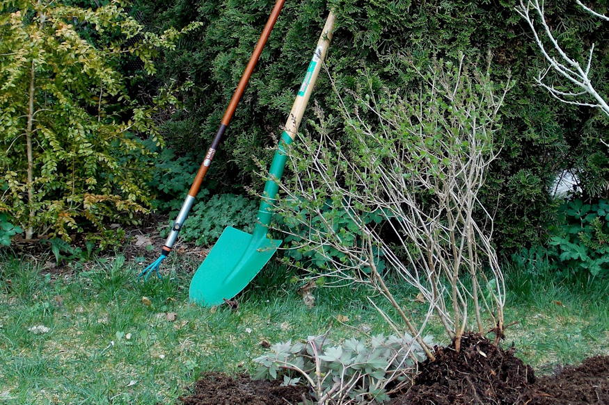 kezdo kerteszkent milyen eszkozokre 05