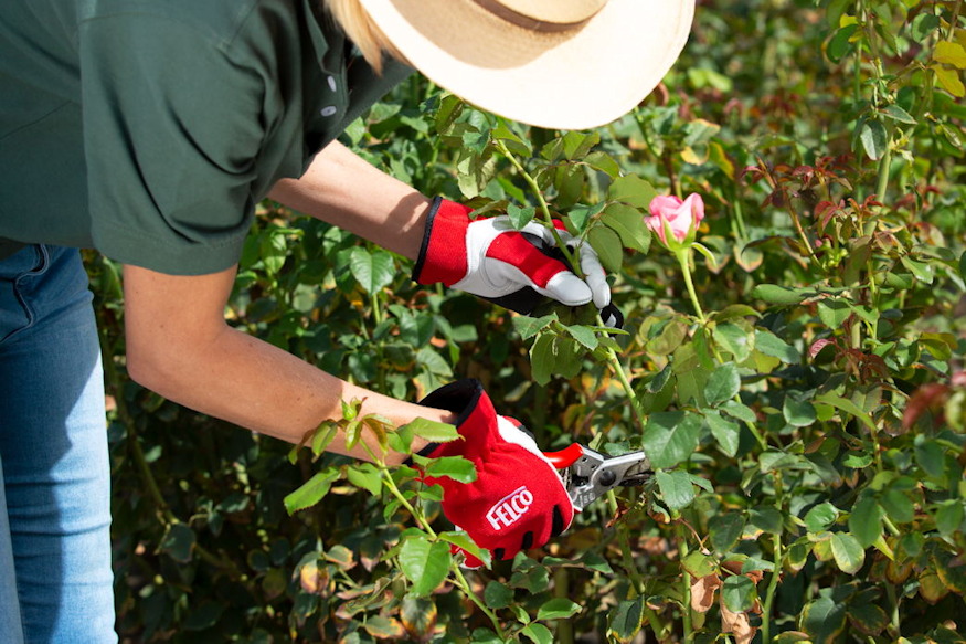 kezdo kerteszkent milyen eszkozokre 09