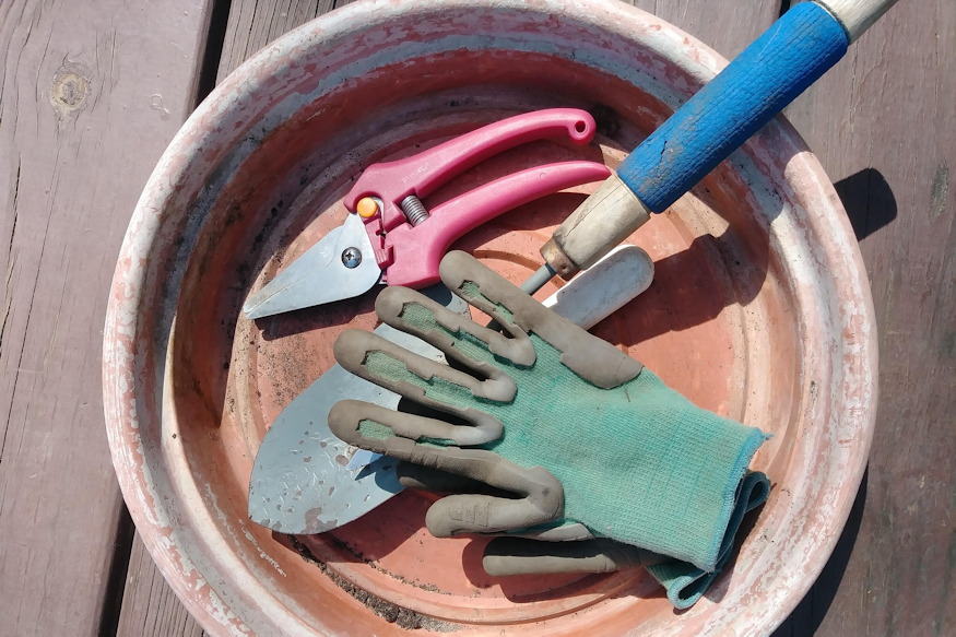 mi tortenik kerti szeszamokkal 03