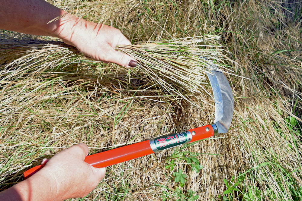 okatsune 405 sarlo 03