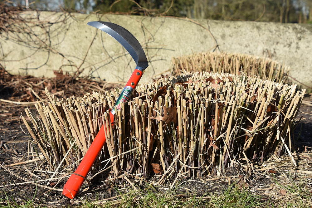 okatsune 405 sarlo 04