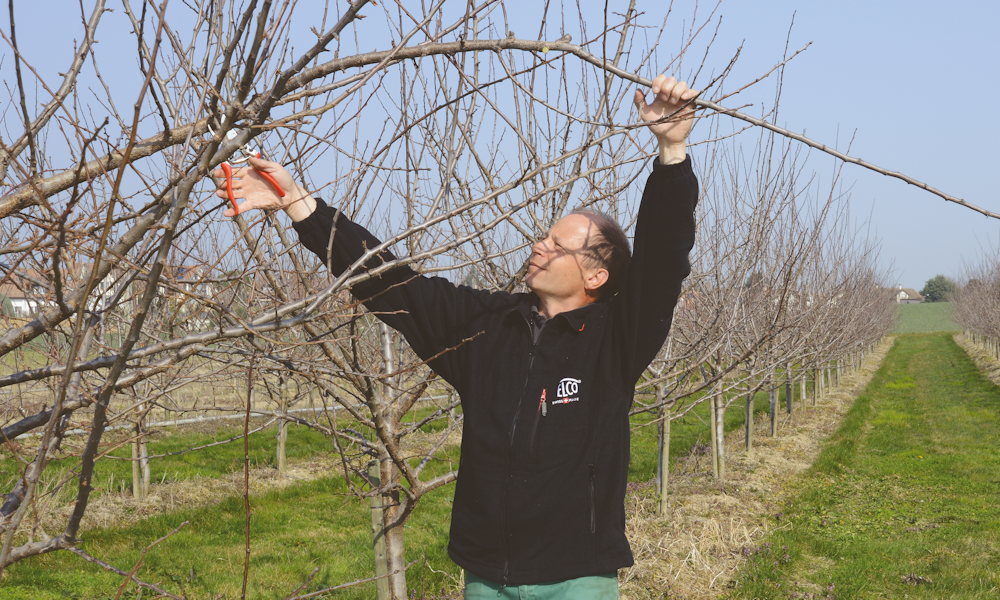 Az olcsó kerti szerszám drága – csak nem azonnal
