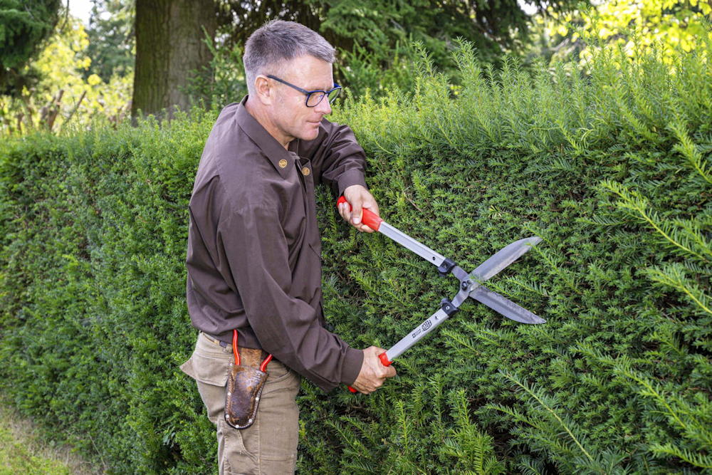 soveny vegre viselkedni fog 04