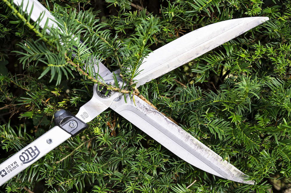 soveny vegre viselkedni fog 05